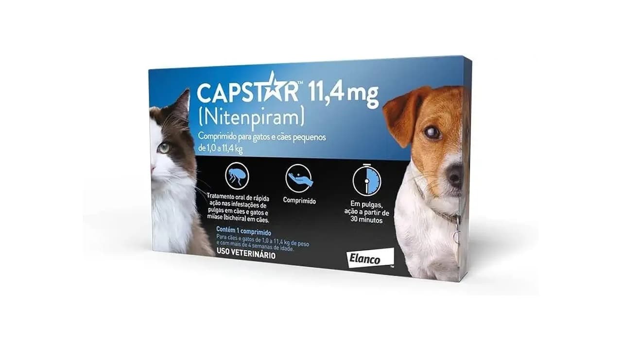 Melhor Comprimido Antirulgas Para Gatos: Ação Rápida ou Completa?