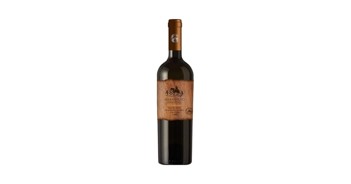 Melhor Vinho Chileno Barato: Top 10 Custo-Benefício