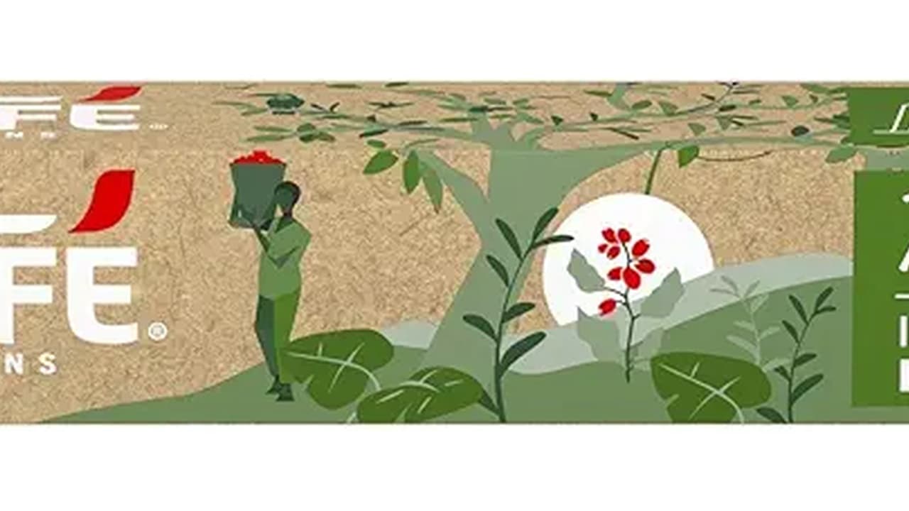 Melhores cápsulas de café: Guia de Sabores Únicos