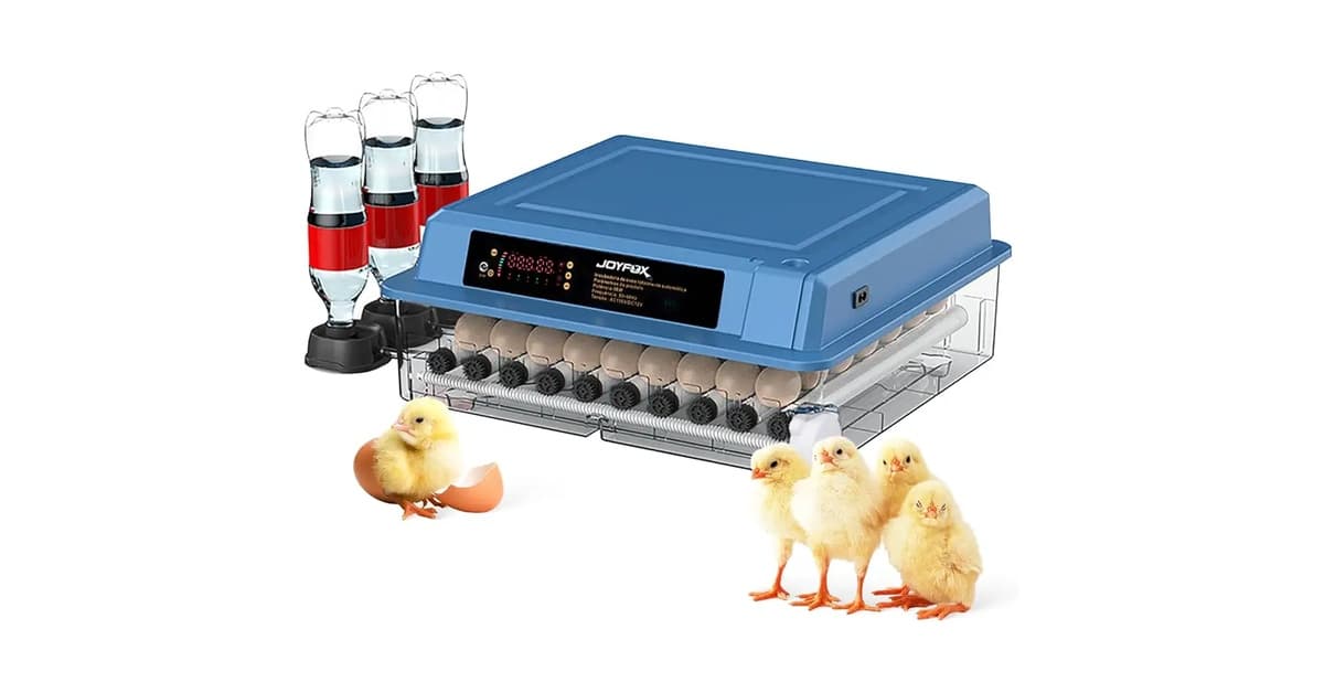 Qual a Melhor marca de chocadeira elétrica para Alta Taxa de Eclosão?