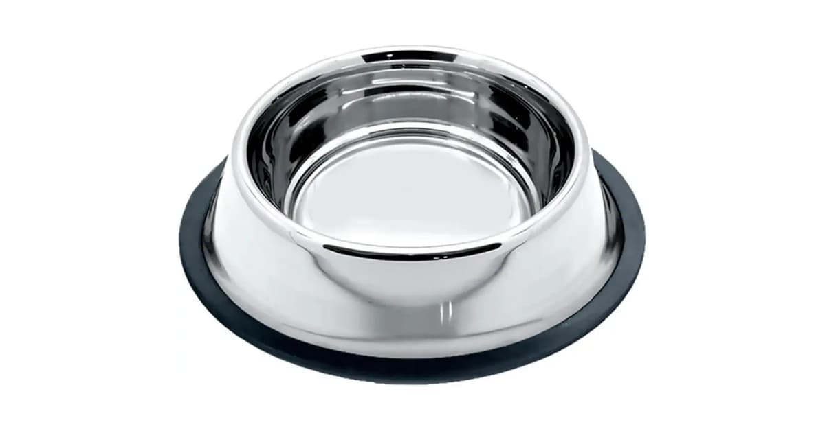 Qual o Melhor comedouro para cachorro para Saúde?