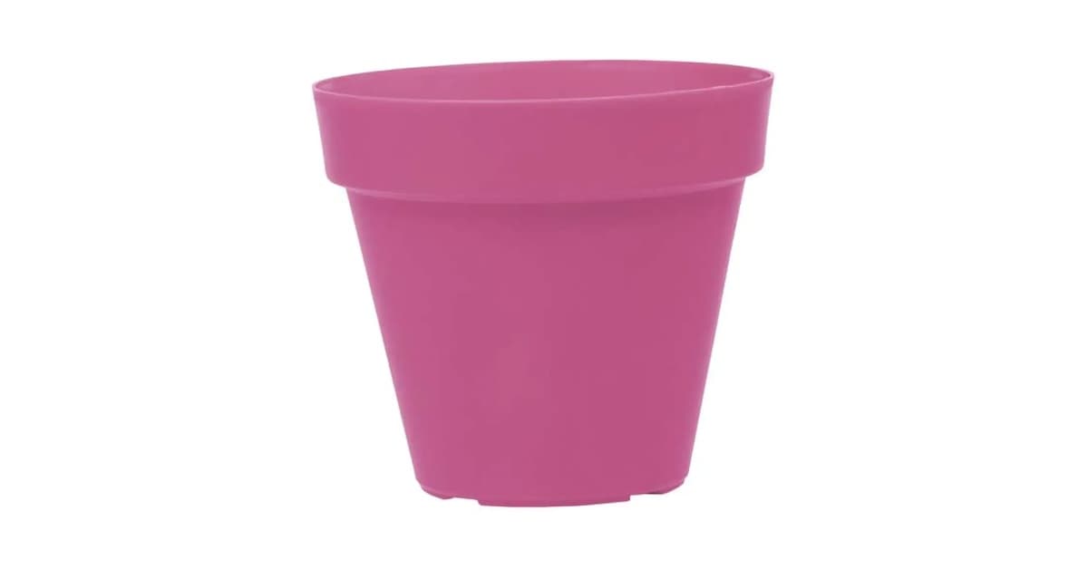 Qual o tamanho ideal de vaso para rosa do deserto: Guia e Top 10