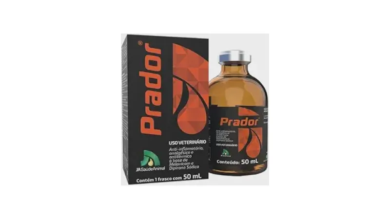Melhor Antiinflamatório Para Hemorroidas: Qual Usar?