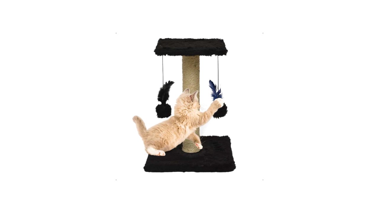 Melhor Arranhador para Gatos: 10 Modelos de Alta Durabilidade