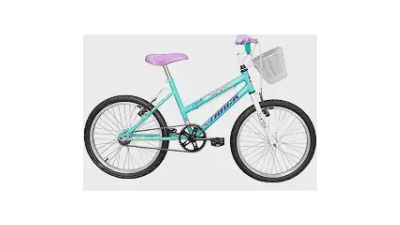 Melhor Bicicleta Aro 20 Feminina: Qual Comprar?
