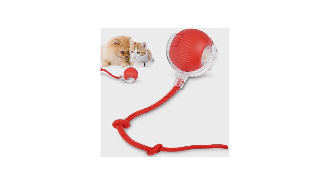 Melhor Brinquedo de Gato: 10 Opções para Estimular o Instinto de Caça