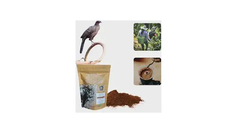 Melhor Café do Mundo Pássaro: Por Que é Tão Caro?