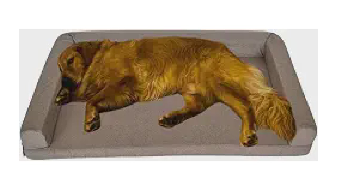 Melhor Cama para Cachorro Grande: 10 Modelos Top