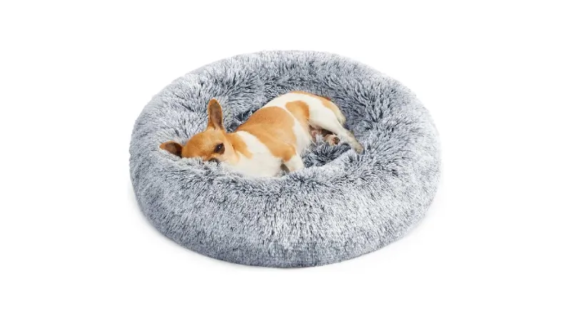Melhor Cama Para Cachorro Idoso Com Dor Articular