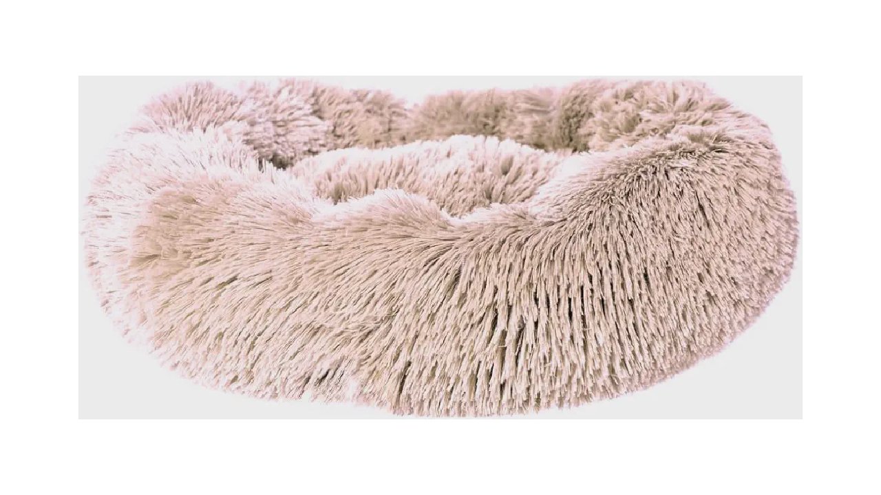 Melhor Cama para Gato: 10 Modelos para Conforto