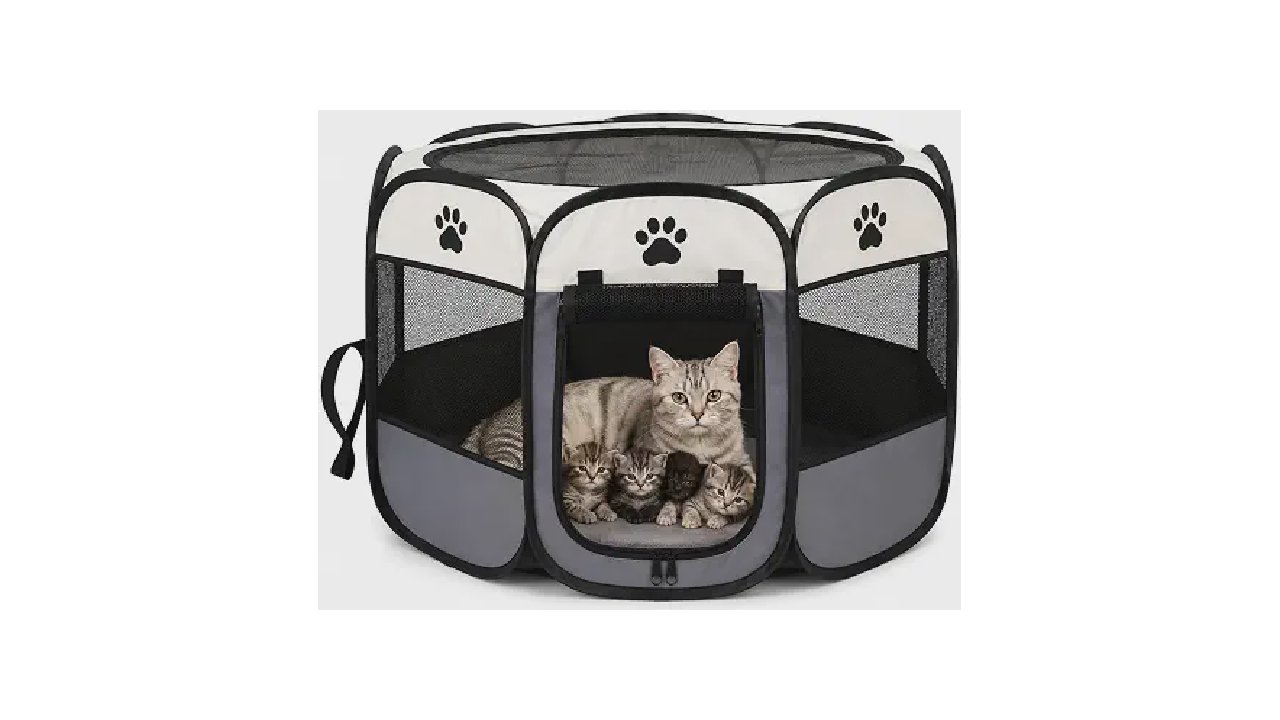 Melhor Cercado para Gato - 8 Modelos Que Valem a Pena