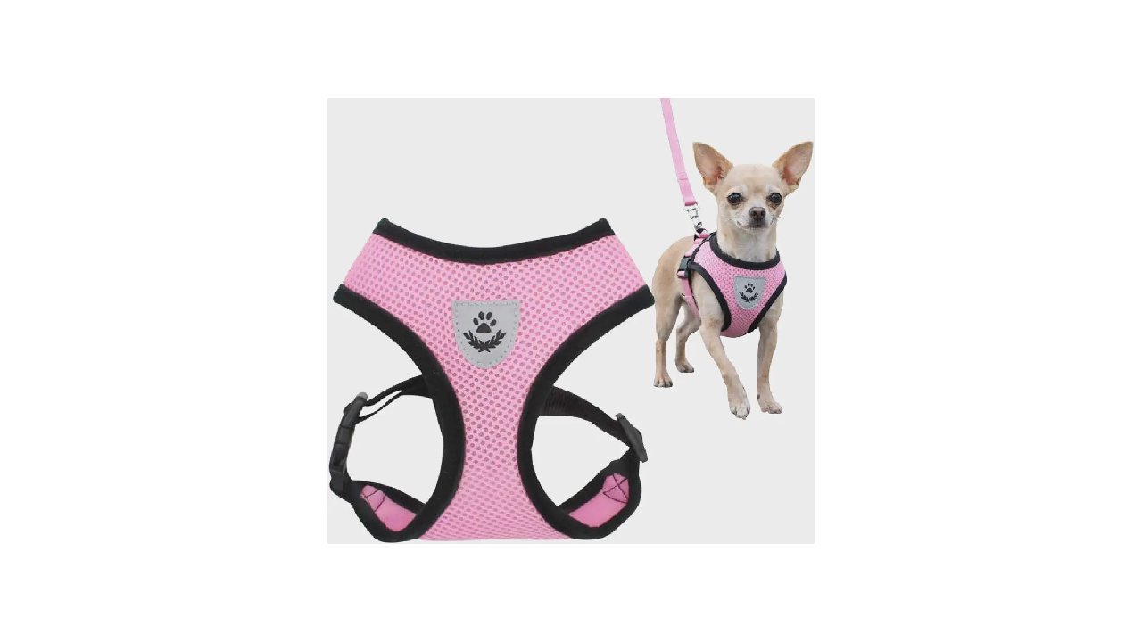 Melhor Coleira para Cachorro Filhote: Qual a Ideal?