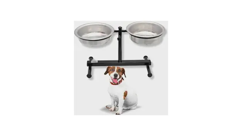 Melhor Comedouro Para Cachorro: O Guia de Tipos