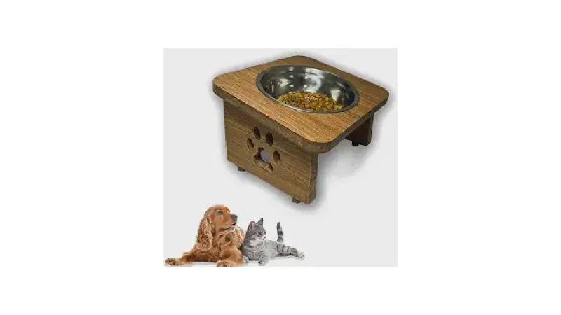 Melhor Comedouro Para Shih Tzu: Guia Para Focinho Curto