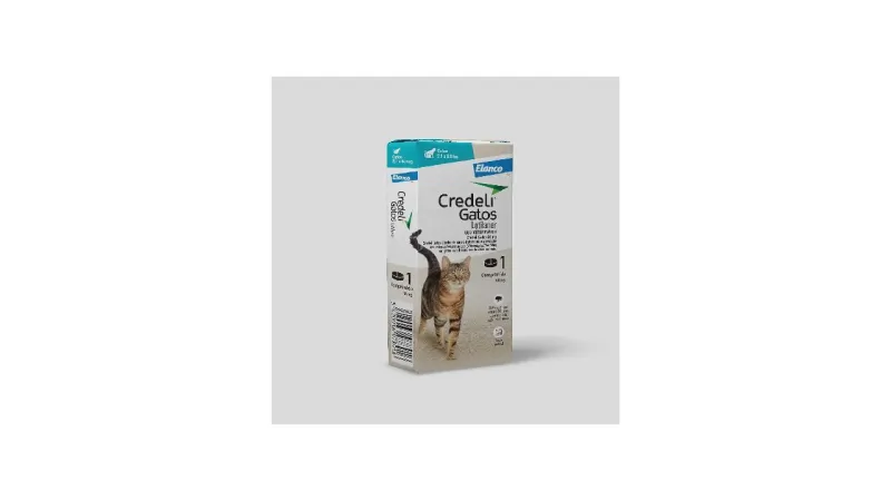 Melhor Comprimido Antirulgas Para Gatos: Ação Rápida ou Completa?