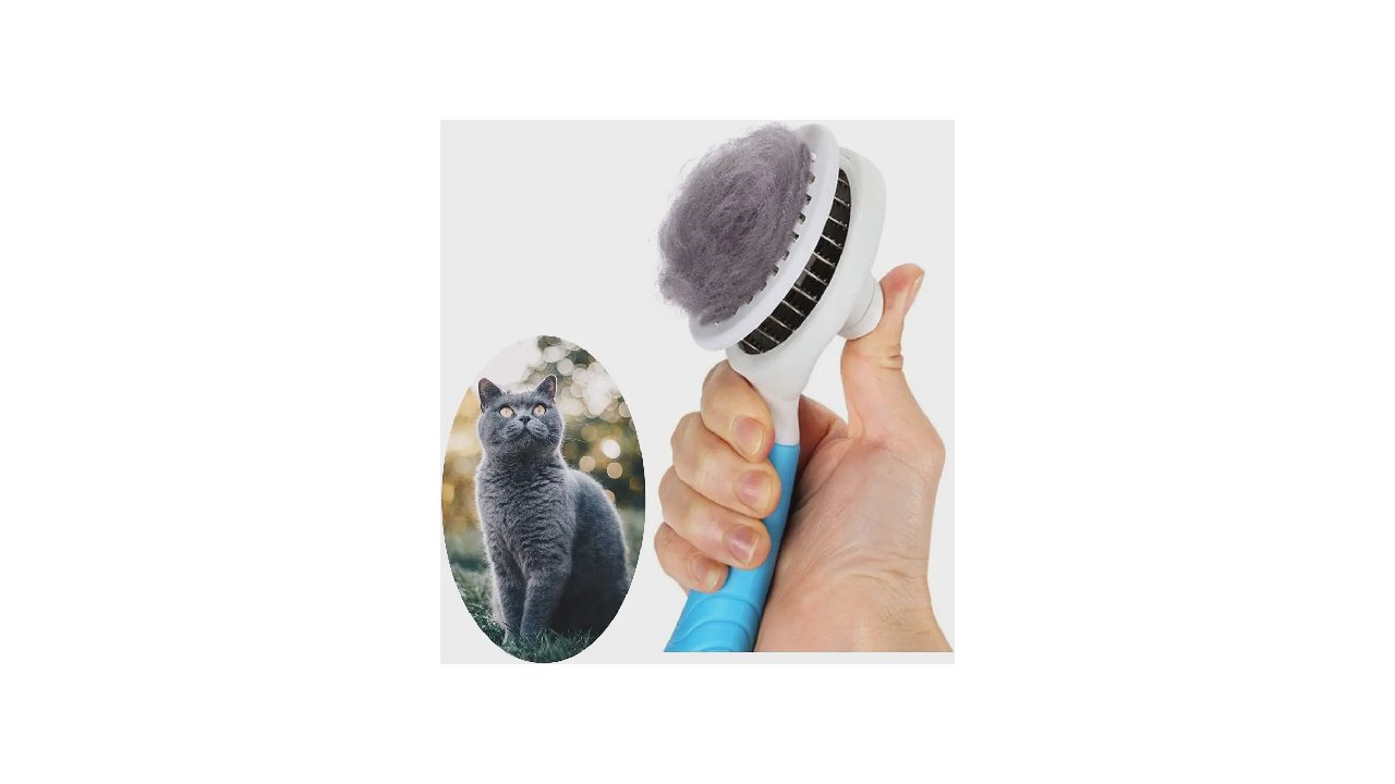 Melhor Escova para Gatos: 10 Modelos para Pelagem