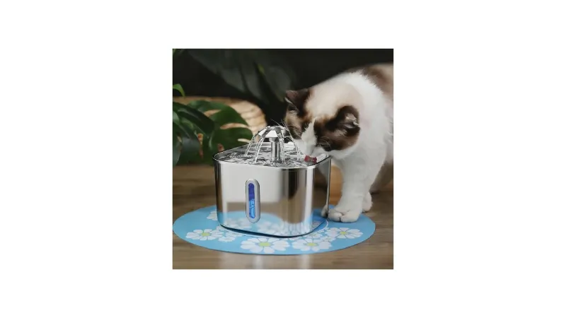Melhor Fonte de Água Para Gatos Mercado Livre: Guia