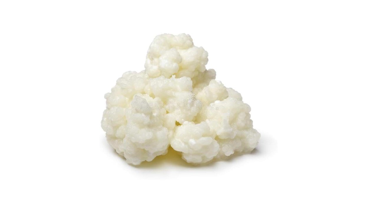 Melhor Iogurte Natural: 3 Opções Probióticas Reais