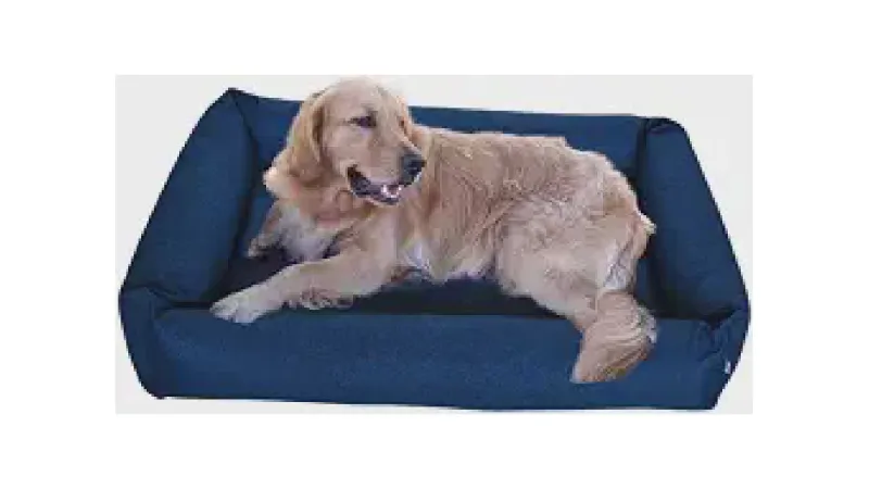 Melhor Material Para Cama de Cachorro: Qual Escolher?