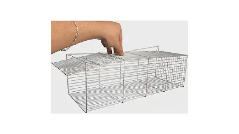 Melhor Ratoeira para Ratos Grandes: Gaiola vs Mola