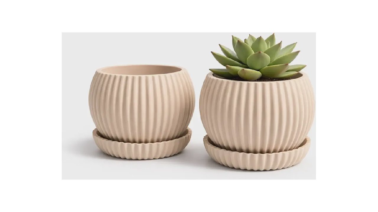 Melhor Vaso para Suculenta: 10 Modelos de Drenagem