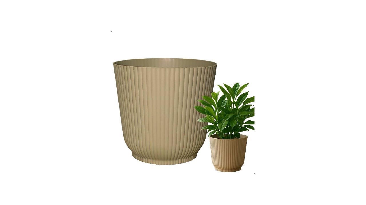 Melhor Vaso para Zamioculca: 10 Modelos de Alta Drenagem