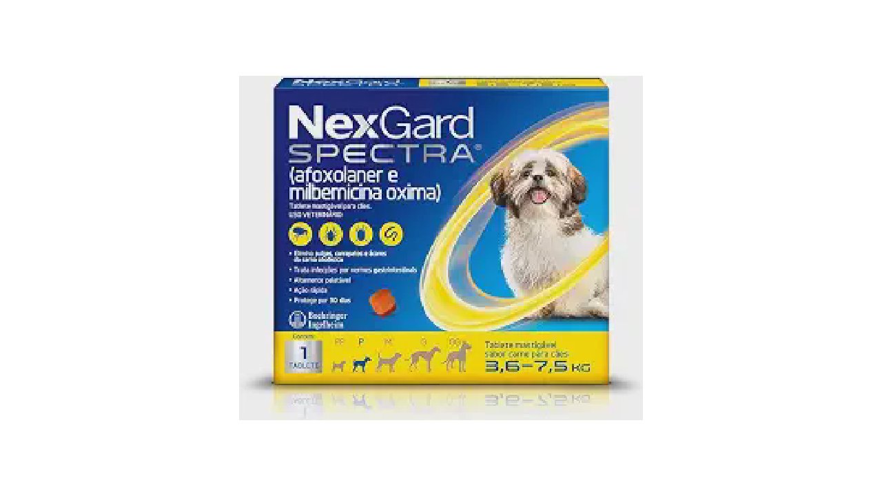 Melhor Vermífugo Para Cachorro: Qual Protege Mais?