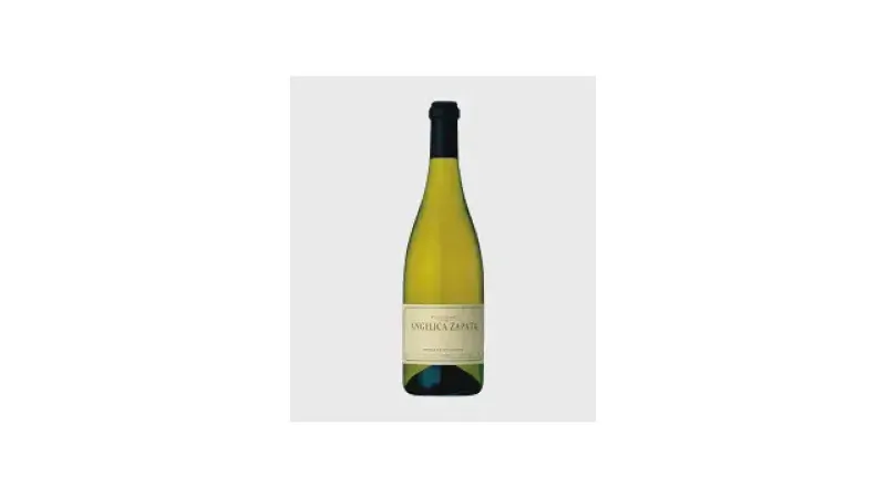 Melhor Vinho Branco Chardonnay: Do Leve ao Encorpado