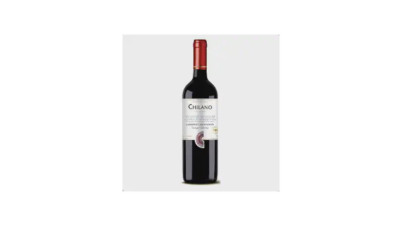 Melhor Vinho Chileno Barato: Top 10 Custo-Benefício