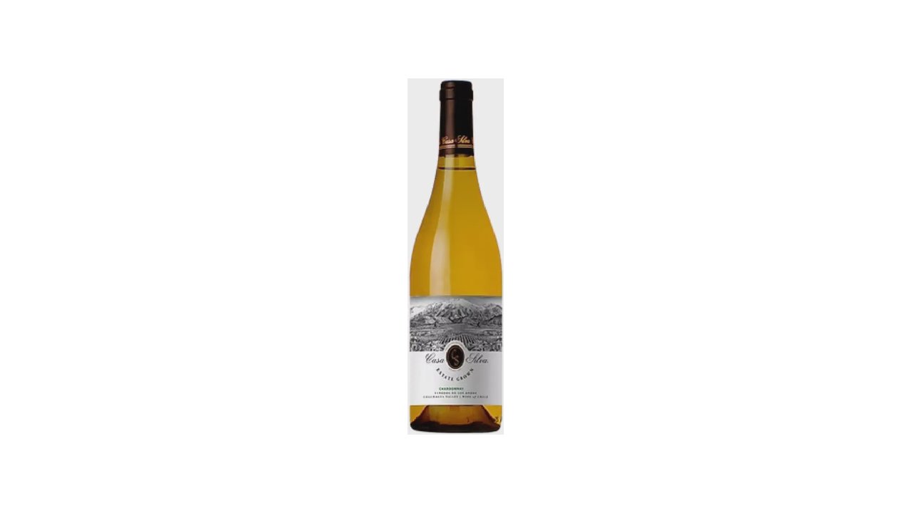 Melhor vinho seco do mundo: 10 Rótulos de Elite Avaliados