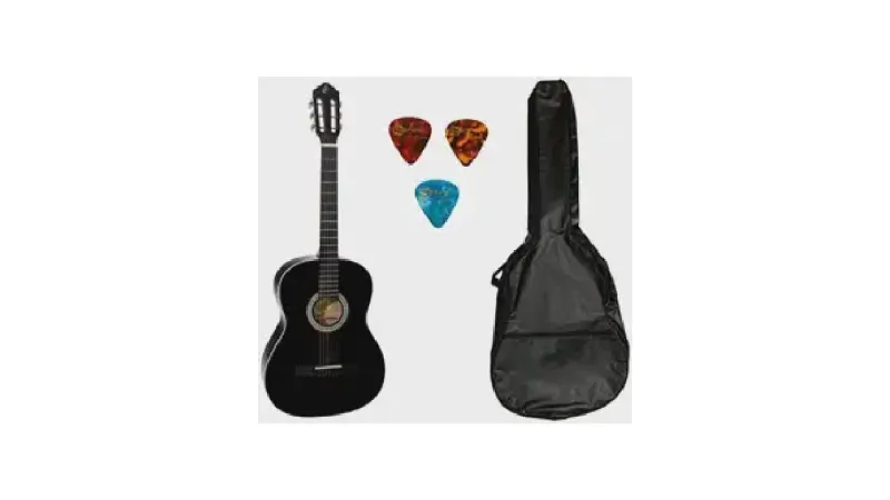 Melhor Violão Giannini Para Iniciantes: Aço ou Nylon?