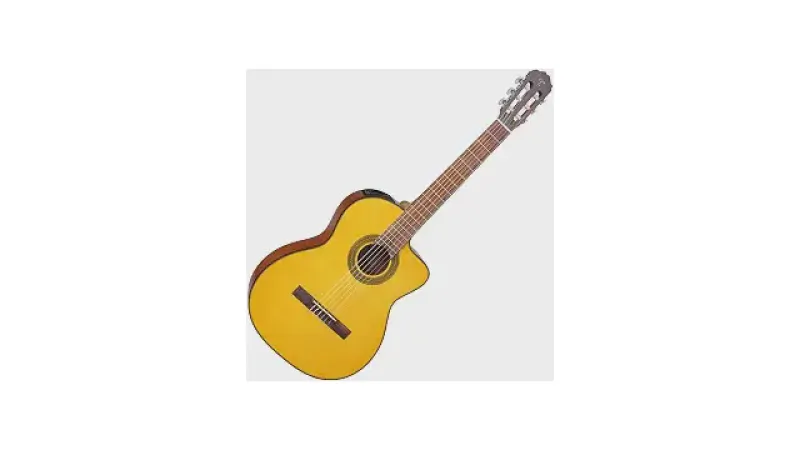 Melhor Violão Nylon Profissional: Para Palco e Estúdio