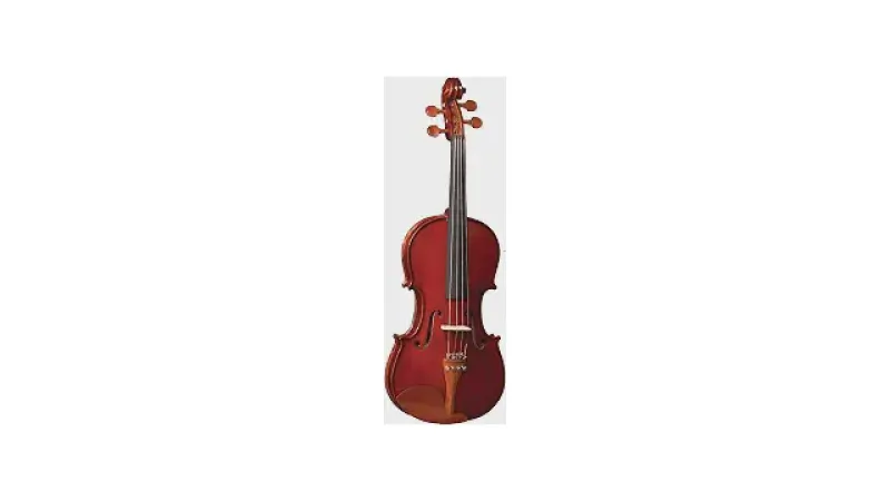 Melhor Violino Para Iniciantes: Qual Tamanho Certo?
