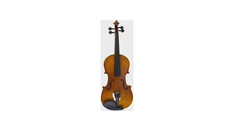 Melhor Violino Profissional: Guia De Sonoridade