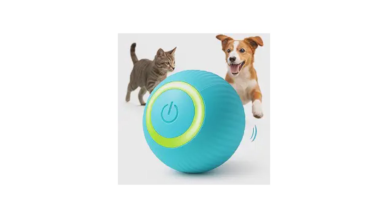 Melhores brinquedos para cachorros que ficam sozinhos: 10 Opções Contra Ansiedade