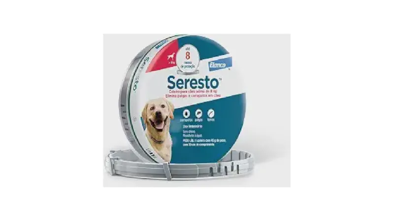 Melhores coleiras antipulgas para cachorro: 10 Opções Seguras