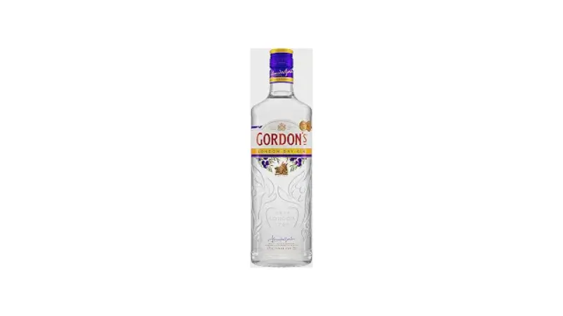 Melhores Gins Baratos: Qual o Melhor Custo-Benefício?