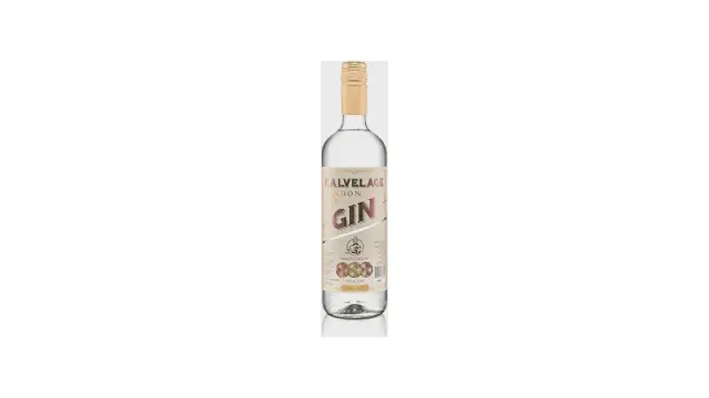 Melhores gins nacionais: Sabor e Custo-Benefício