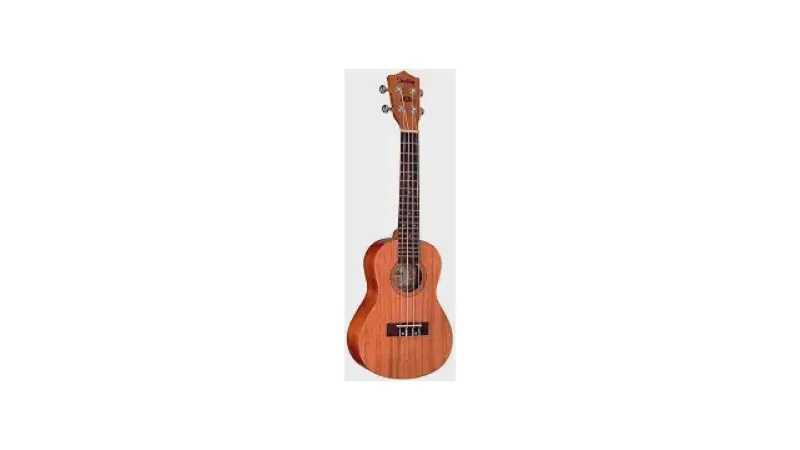 Melhores Marcas de Ukulele: Guia para Iniciantes