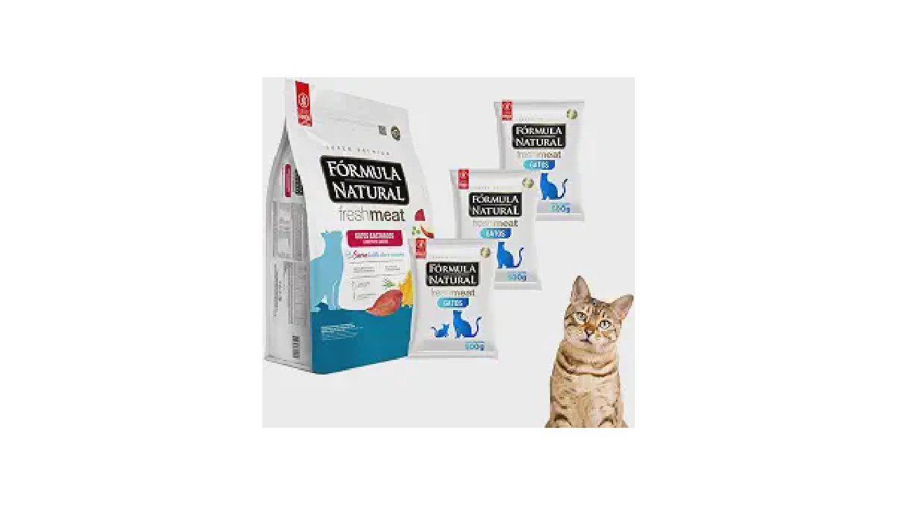 Melhores rações super premium para gatos castrados: Top 9 Opções