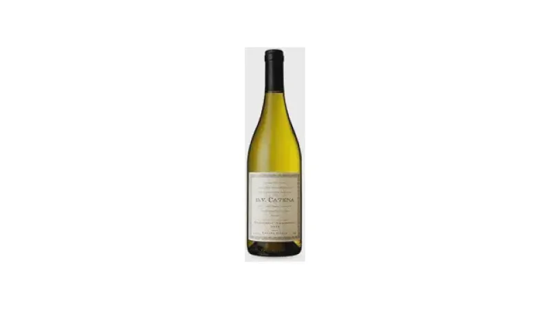 Melhores vinhos chardonnay: Top 10 Custo-Benefício