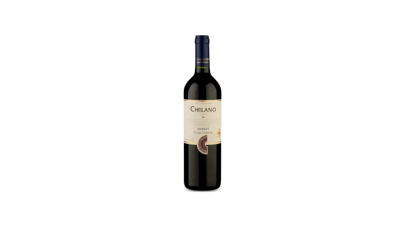 Melhores Vinhos Chilenos até 100 Reais: Top 10 Custo-Benefício