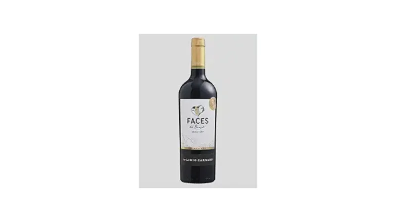 Melhores Vinhos do Brasil: Rótulos e Leituras Top