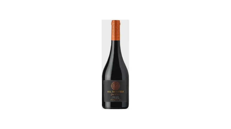 Melhores vinhos para comprar no chile: Guia Final