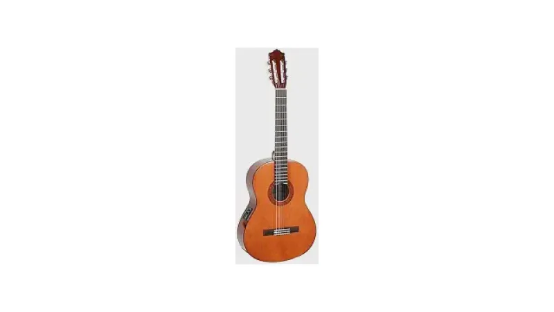Melhores violões eletroacústicos nylon: Top 10 Custo-Benefício