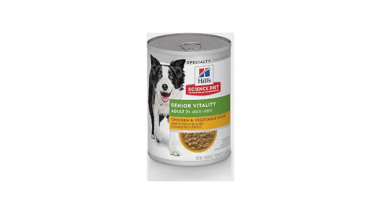 Qual a Melhor ração úmida para cachorro idoso? Guia de Nutrição