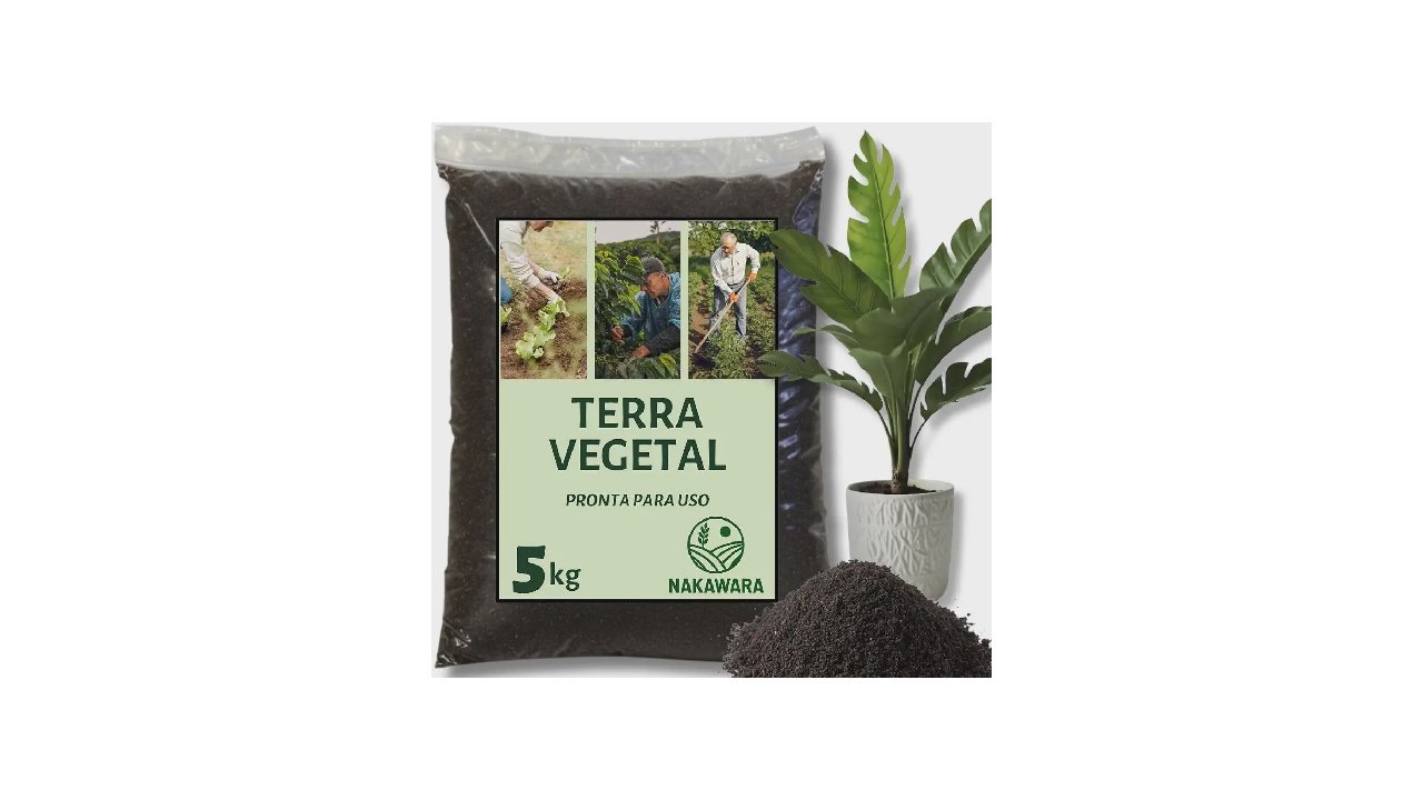 Qual a Melhor Terra para Plantar em Vasos? 10 Opções Férteis