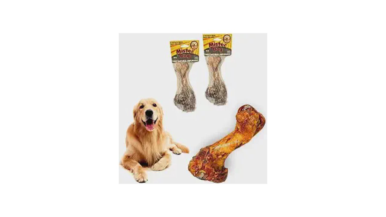 Qual o Melhor osso para cachorro roer? Guia de Opções Seguras