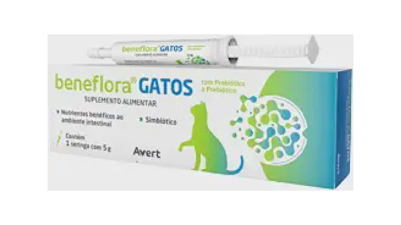 Qual o Melhor Probiótico para Gatos? 10 Favoritos