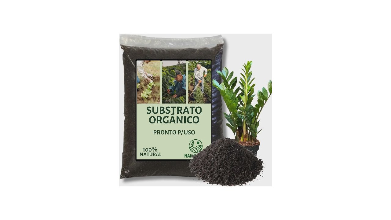 Qual o Melhor substrato para zamioculca: Guia de Drenagem